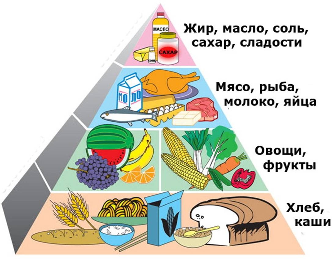 Рациональное питание школьника